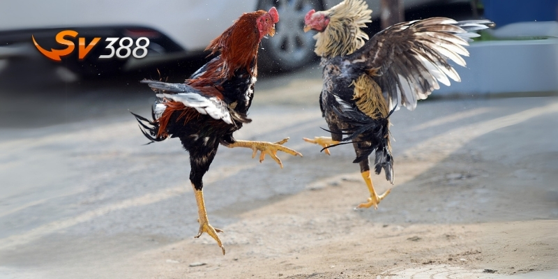 Bảo mật an toàn tuyệt đối