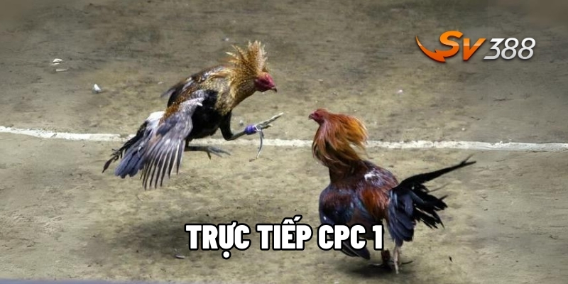 Trực tiếp CPC1